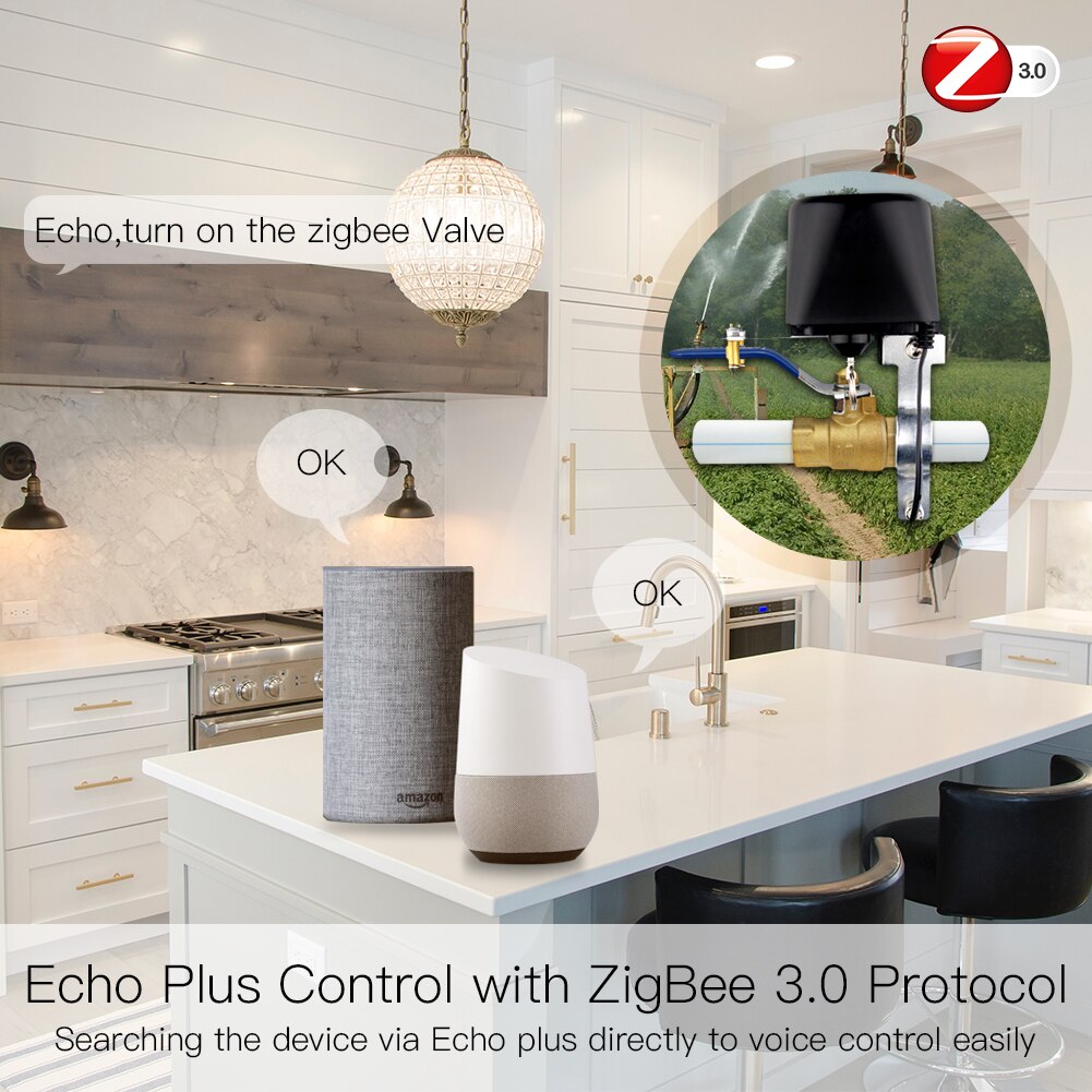 Zigbee 3.0 smart gas vandventil controller app fjernbetjening ekko plus stemmestyring, arbejde med alexa google hjem