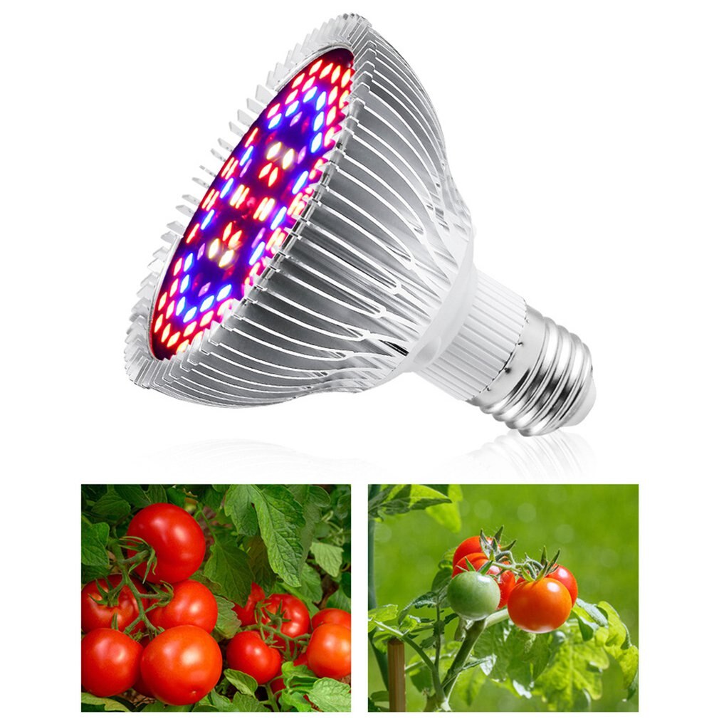 Led Plantengroei Licht Kas Zaailing Groeiende Plant Verlichting Hydrocultuur Indoor Groei Licht Plant Groente Groeilicht: E27-30W-40 LED lamp