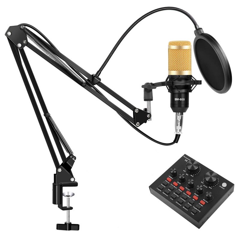 Professionele Bm 800 Studio Condensator Microfoon Kit Vocale Opname Karaoke Microfoon Met Geluidskaart Microfoon Stand Voor Pc Computer: Type 3