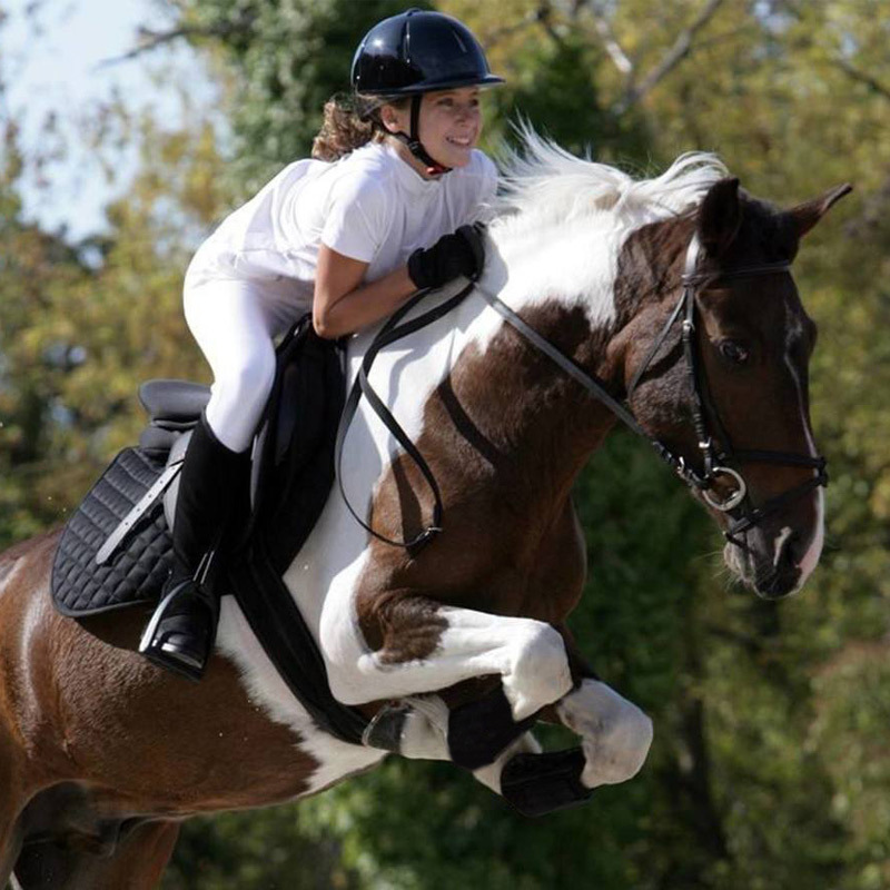 1 paar Pferd Sattel Englisch SteigbüGel Pferd Reiten Zubehör Reiten Doppel Verbunden Fillis SteigbüGel