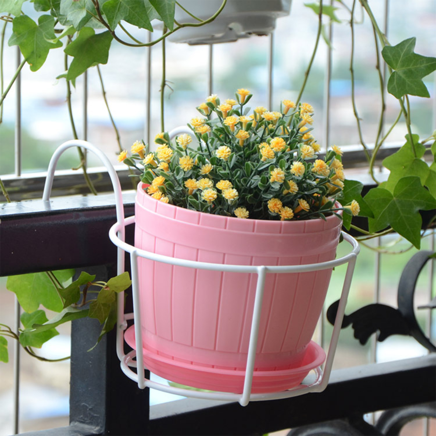Mur en pot de plantes vertes charnues, balcon fleur T1, conflicence terrasse garde-corps stockage fer T1