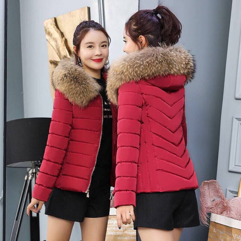 Abrigos de invierno de para mujer, chaquetas de algodón nuevas de plumas, abrigos de algodón de talla grande y ajustados con cuello de pelo corto para mujer: Borgoña / M