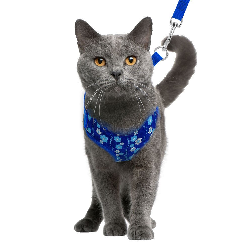 Sød kat hvalp sele vest trykt mesh kæledyr killing katte sele og snor sæt justerbar gangledning til små mellemstore hunde katte
