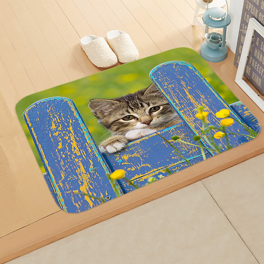 Cartoon Kat Deurmat Anti-Slip Absorberen Water Badmat Badkamer Thuis Keuken Bedroon Floor Mat Entree 40*60cm DD-0100: 2