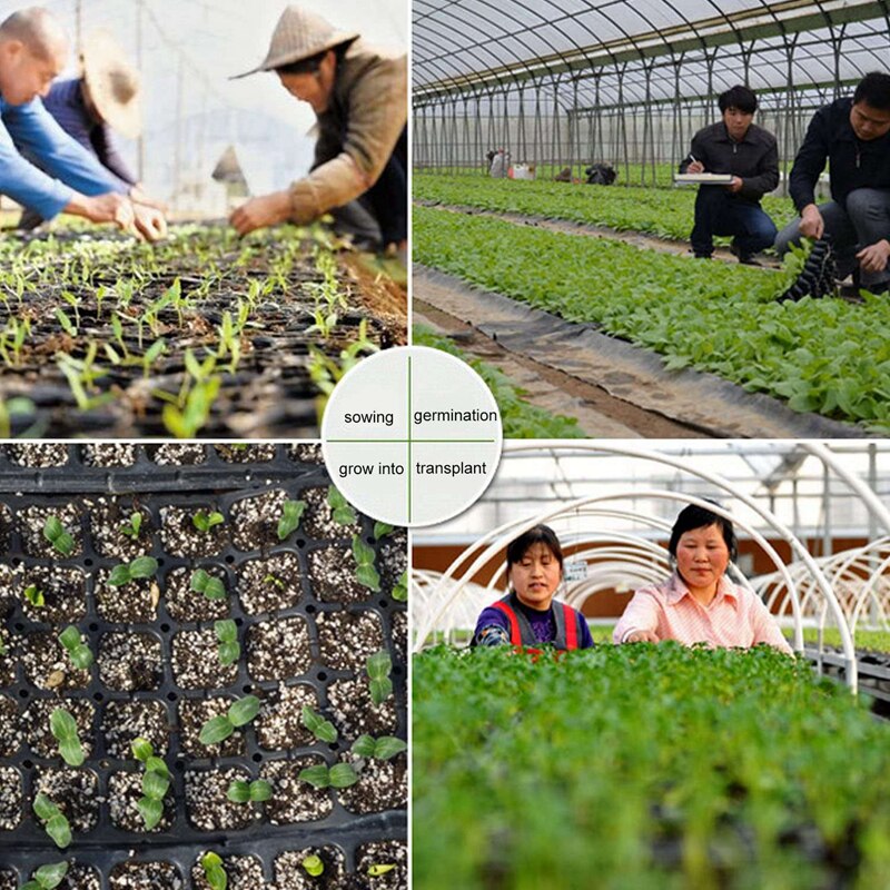 10Pcs 128 Cell Seedling Starter Tray Seed Germination Plant Flower Pots Nursery Grow Box Propagation for Garden