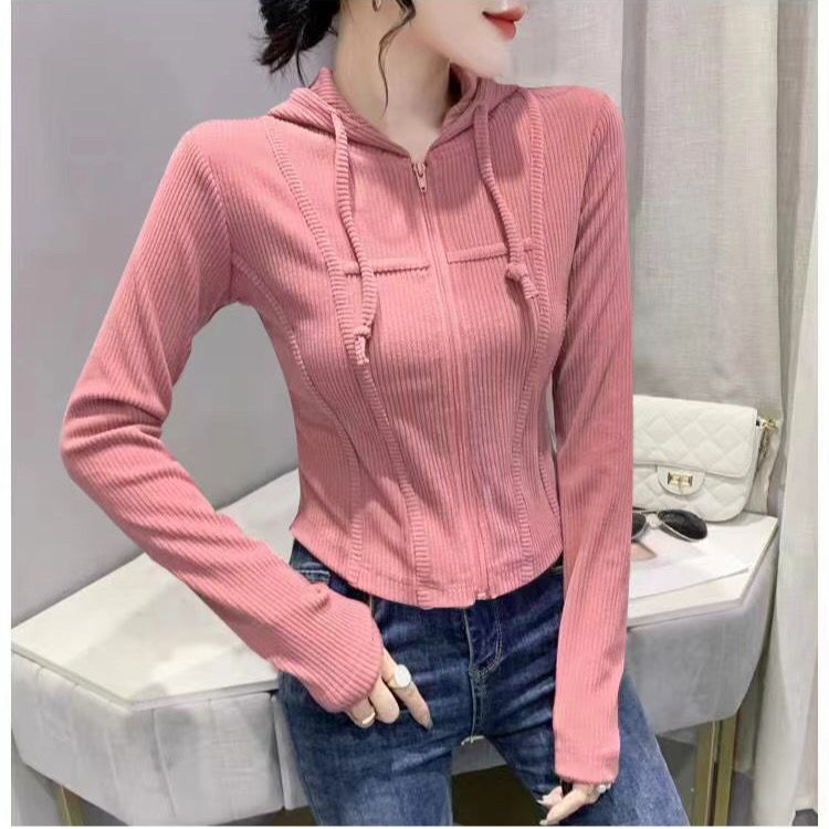 Spring Autumn Slim Patchwork Zipper T-shirt Lady Long Sleeve Solid Color Hooded Top Women Casual All-match Cardigan Tees: XXL / Pink