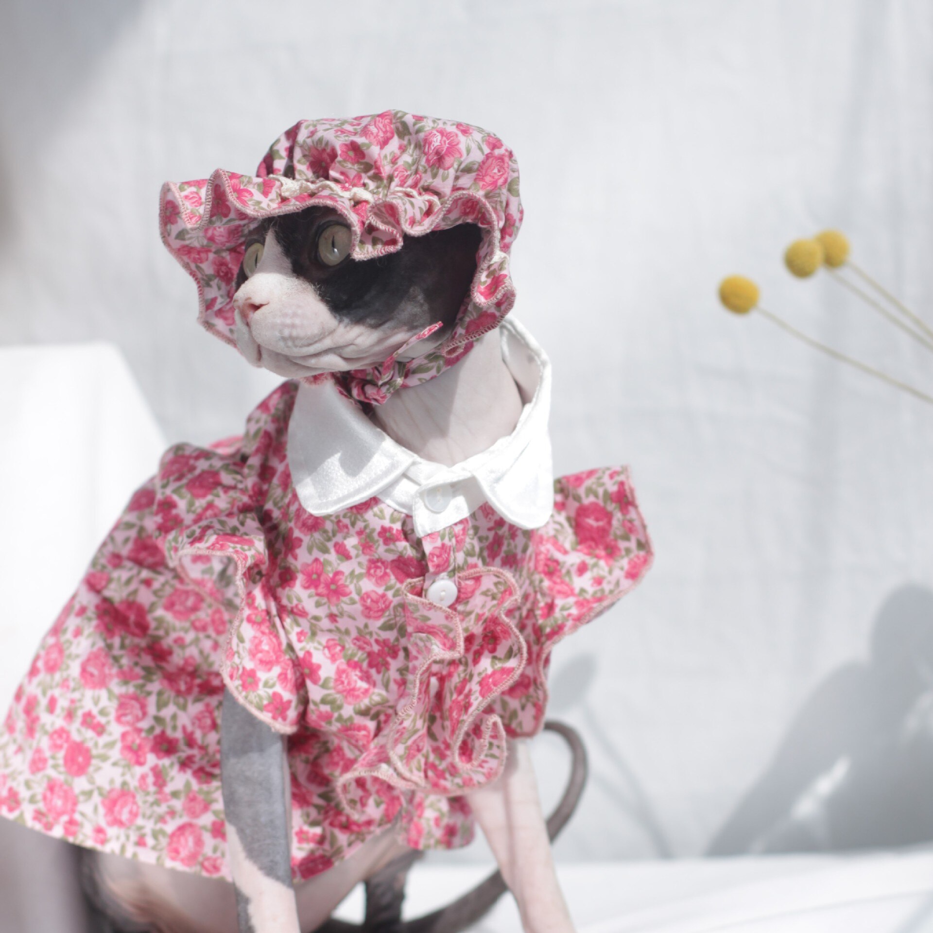 Koszula dla kotów letnia cienka sukienka dla zwierzaka sukienka kwiatowa sfinks bezwłosowa czapka dla kota zestaw stroju kota