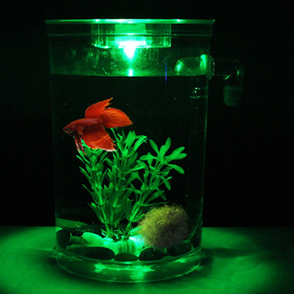 Desktop Aquarium Led Aquarium Decor Waterplanten Stenen Vissen Tank: Cylinder