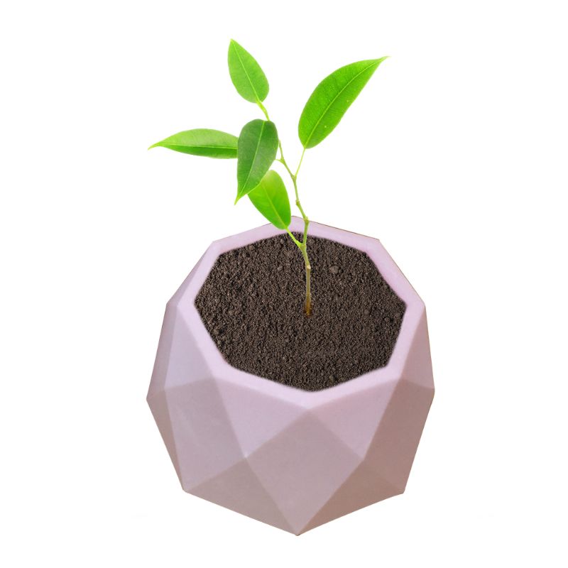 Fait à la main géométrique Silicone Pot de fleur moule Succulent planteur Vase artisanat décor à la maison