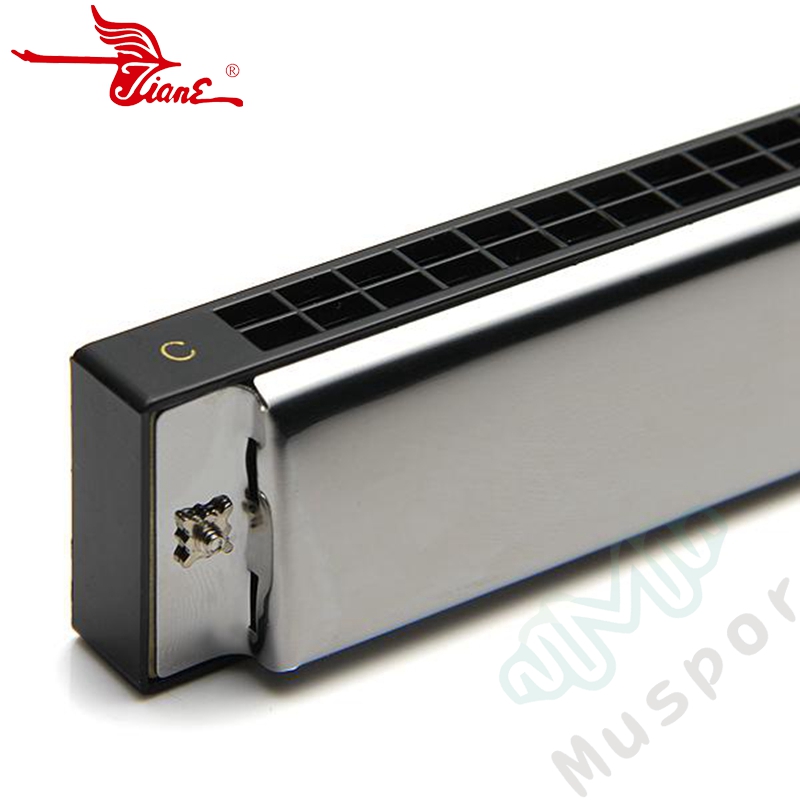 SWAN Tremolo Harmonica C/A/B/D/E/F/G/A#/C#/D#/F#/G# Key 24 Holes Silver Harp Mouth Organ Woodwind Musical Instruments with Case