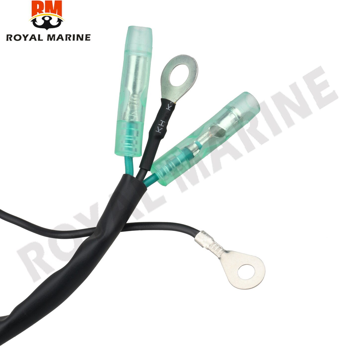 66T-85533-00 Verlichting Coil Voor Yamaha 40HP E40X 2 Takt Boot Motor