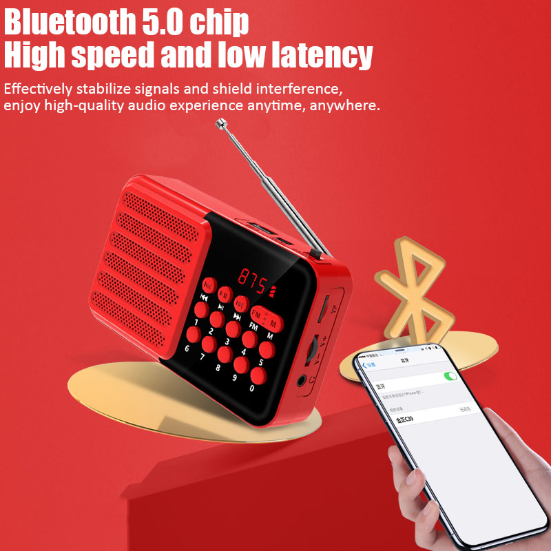 Mini FM Radio tragbare Radios Empfänger Bluetooth Stereo Lautsprecher MP3-Player mit Mikrofon/LCD-Display Unterstützung TF-Karte Kopfhörer spielen
