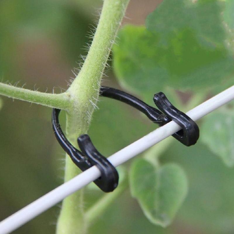 Zelfborgende plantenklimbevestiging, gesp, haak, groente-entclips, landbouwkas, tuinbenodigdheden, rotan clip