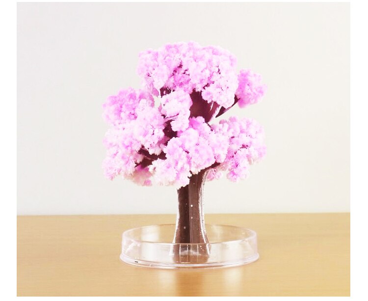6 pz la magia di crescita albero crescente magico carta sakura 12*12 centimetri 50g divertente per bambini regalo scienza istruzione per l'apprendimento