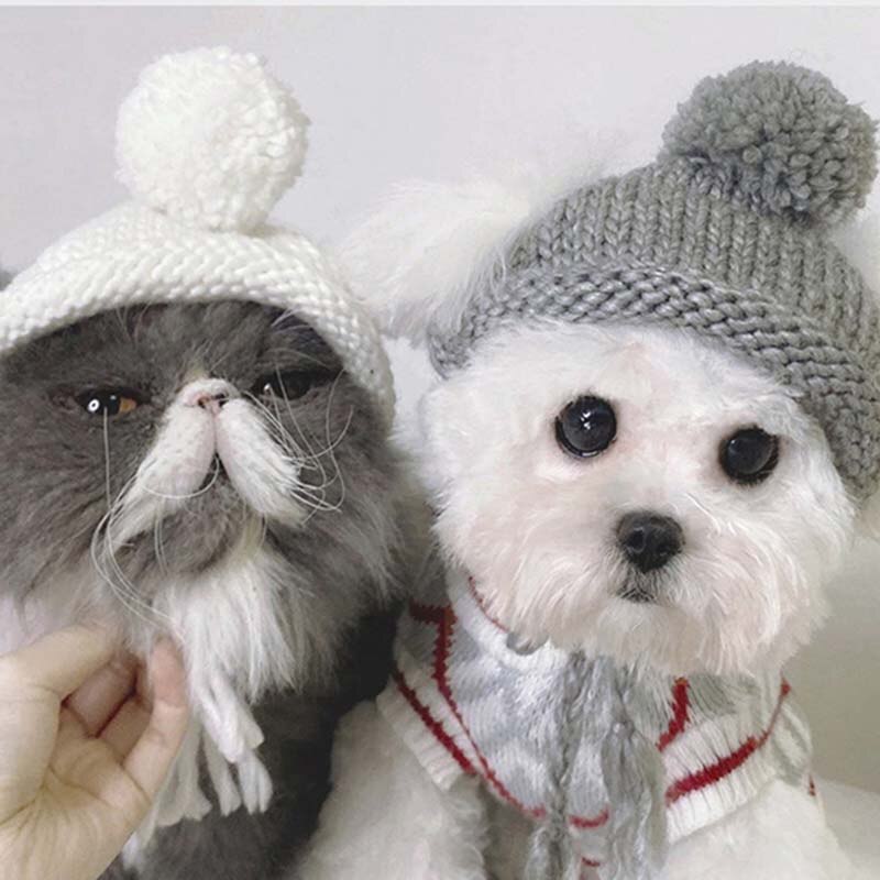 Ins Effen Kleur Pet Gebreide Muts Schattige Haarbal Warm Hond Hoed Hoofddeksel Kat En Hond Accessoires Bichon Teddy Houden warm Puppy Hoed