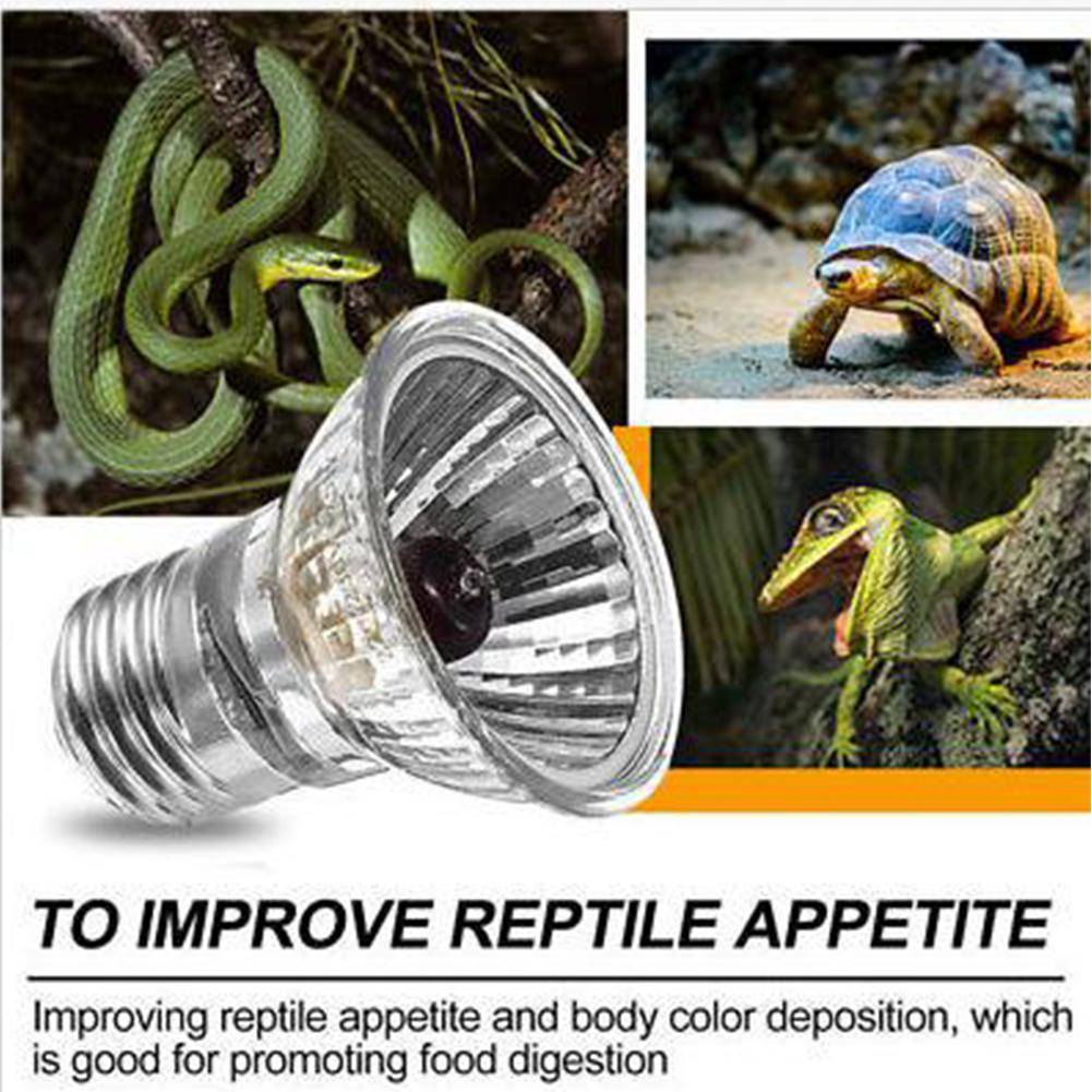 Bombilla para reptiles UVA + UVB de 25/50/75/100W, lámpara de calor, para tortugas, anfibios, lagartos, controlador de temperatura