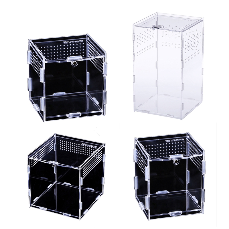 Insect Feeding Box Transparent Acrylic Container Terrarium for Spiders Scorpions