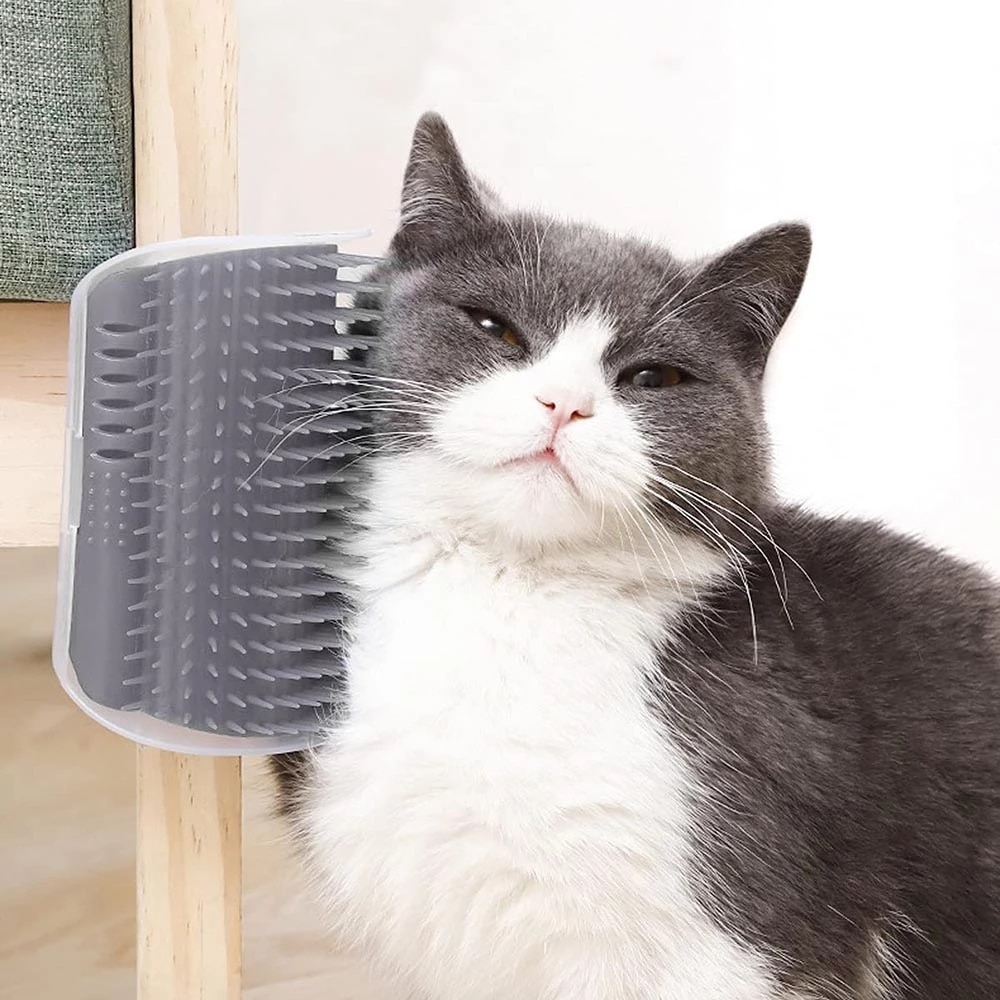 Brosse de Massage d&#39;angle mural pour chat, auto-toilettage avec cataire herbe-aux-chats doux, brosse pour le visage avec un peigne chatouillant, fournitures de toilettage pour animaux de compagnie