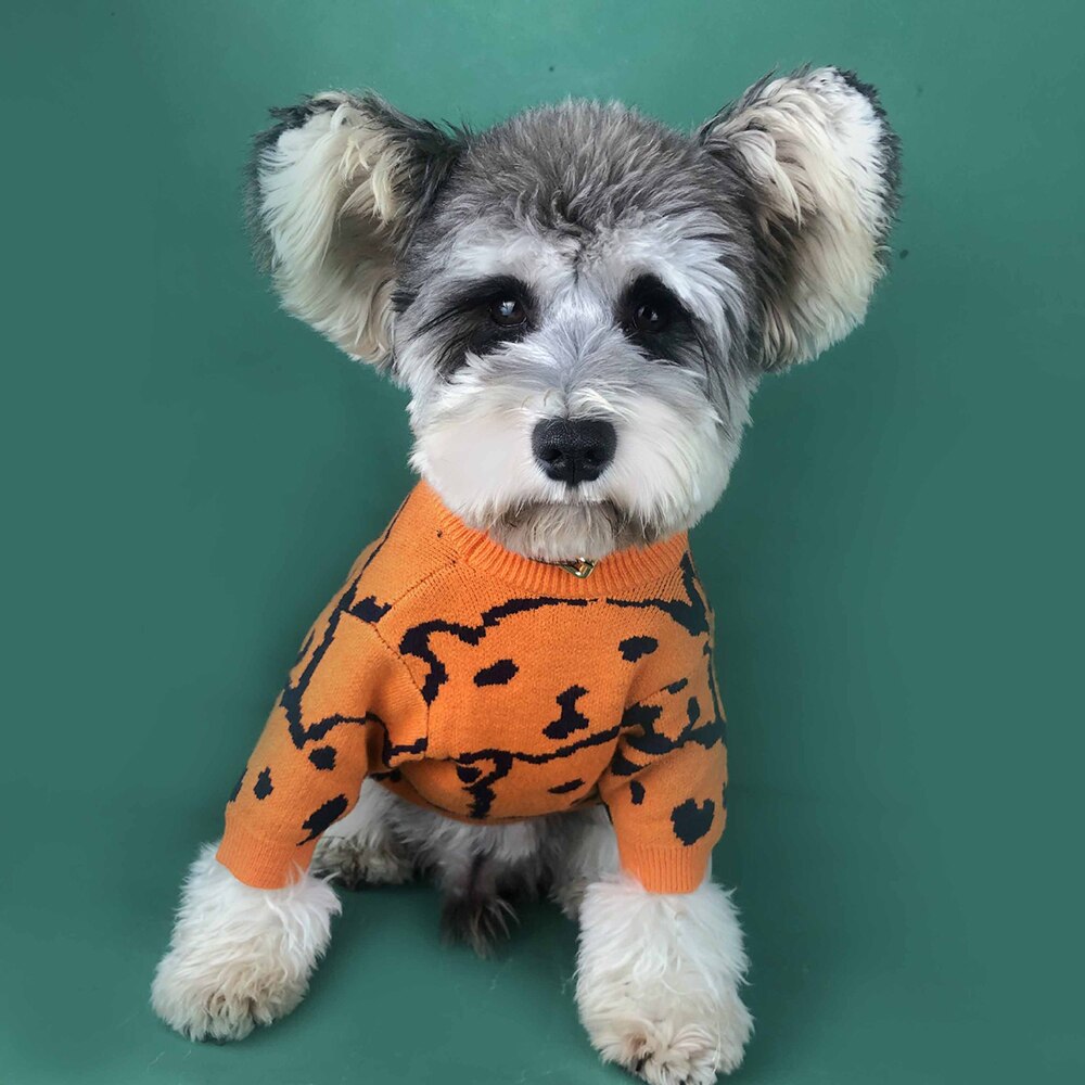 Hond Truien Kostuum Leuke Hond Shirt Oranje Kleding Beer Patroon Stijlvolle Winter Jas Voor Katten Honden Puppy