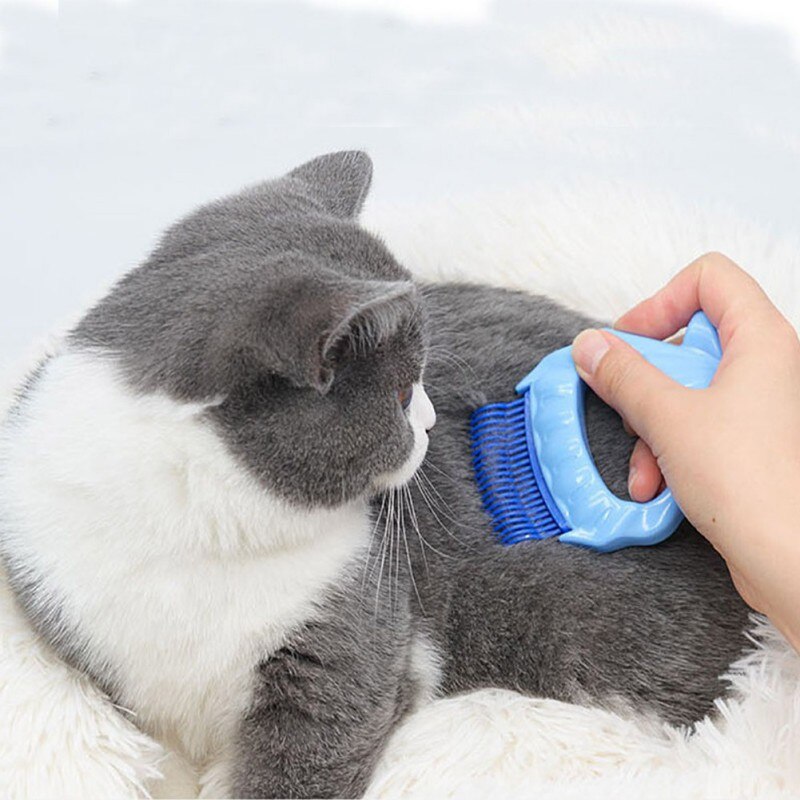 Shell-Shaped Pet Comb Removal Of Floating Hair Hair Removal Open Knot Smooth Hair Comb Cat And Dog Hair Care Tools