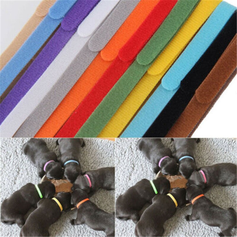 12 Kleuren Verstelbare ID Halsbanden Klittenband Whelping Bands Puppy Kitten Pasgeboren Pet Tags