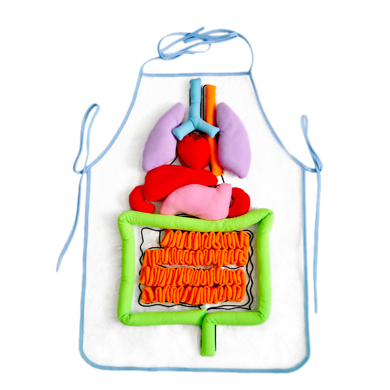 Anatomy Apron Human Body Organs Awareness Educational Insights Toys for Children Preschool Science Homeschool Teaching Aids