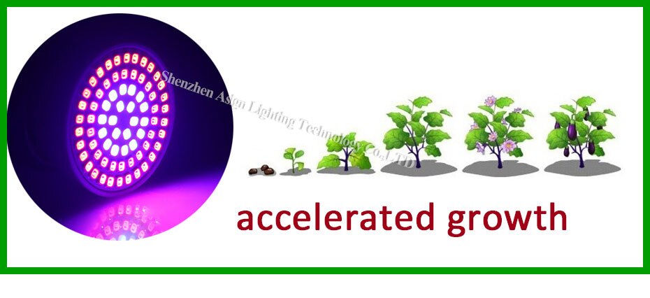 E27 oświetlenie doprowadziło robić uprawy pełne spektrum czerwony niebieski lampa doprowadziło robić uprawy roślin żarówka G10 Pan16 220V rośliny lampa robić kryty zielony roślin sadzonka