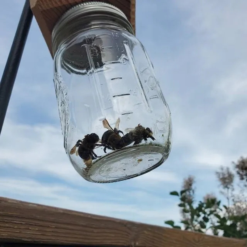 Piège à abeilles de charpentier pour l'extérieur, 1 pièce, piège à abeilles de charpentier suspendu naturel de Style Pentroof, pièges à insectes avec coffre-fort amovible