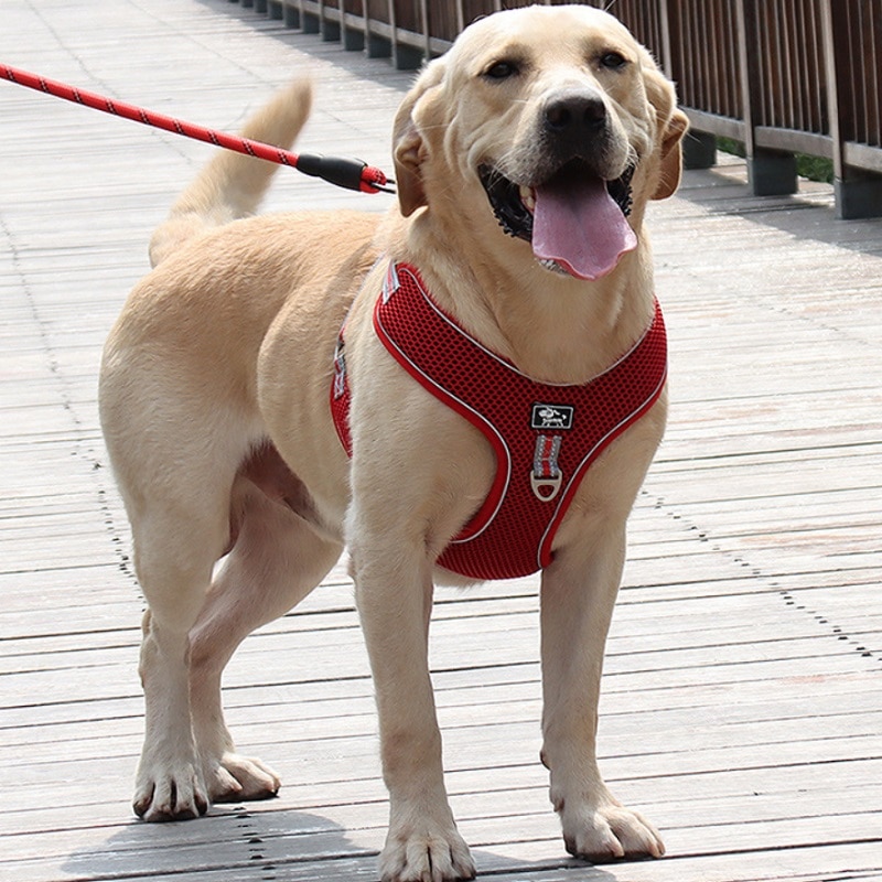 Large Dog Harness Vest big Dog Harnesses Breathable Mesh pet Walking lead Reflective dog chest strap for Labrador Husky Dogs