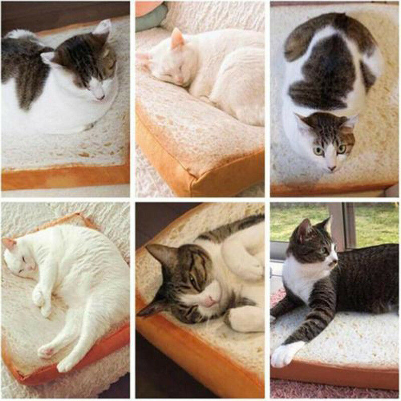 Toast brød katt pute hund matte kjæledyr senger rekvisita kittle myk pute plysj sete
