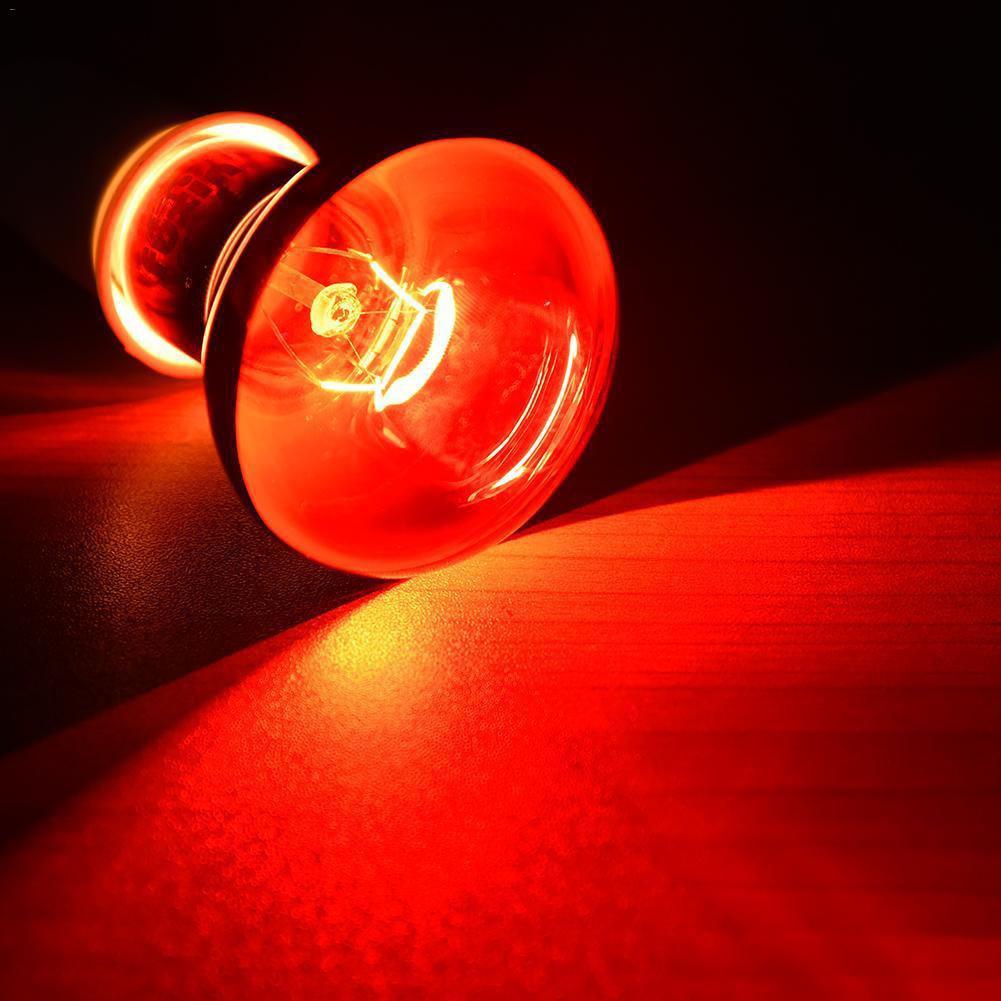 Luz LED nocturna para reptiles, lámpara de calor infrarroja UVA, Bombilla para serpiente, lagarto, accesorios para reptiles: 60w