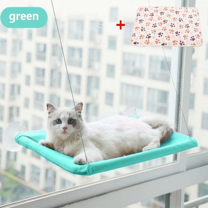 Hamac pour animaux de compagnie, lit-balançoire suspendu, siège de repos, perchoir, fenêtre, confortable, 20kg: Green and blanket