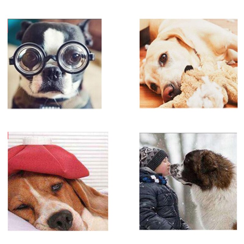 Dog Training Bell Pet Potty Training Bells with Non-Skid Rubber Base Ordering bell