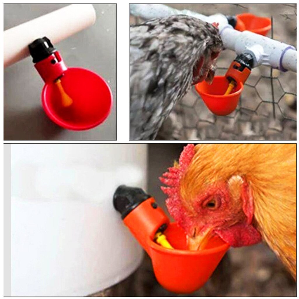 5pcs Chicken Drinker Cups For Chickens Red Quail Chicken Waterer Bowl Automatic Poultry Coop Feeder Water Drinking Cups