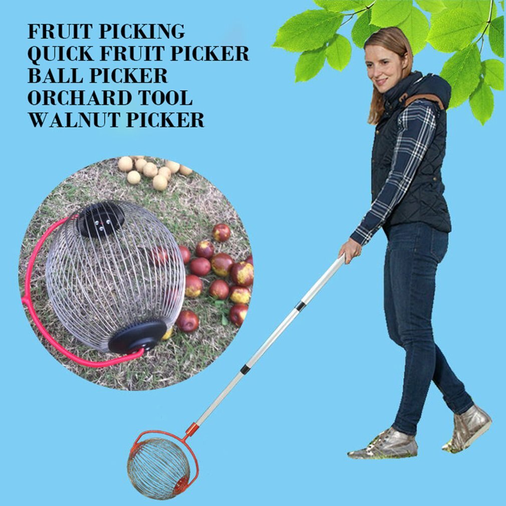 Nueces castañas cosechadora rodillo tuerca colector retráctil aleación de aluminio bola jardín fruta Picker familia huerto herramienta
