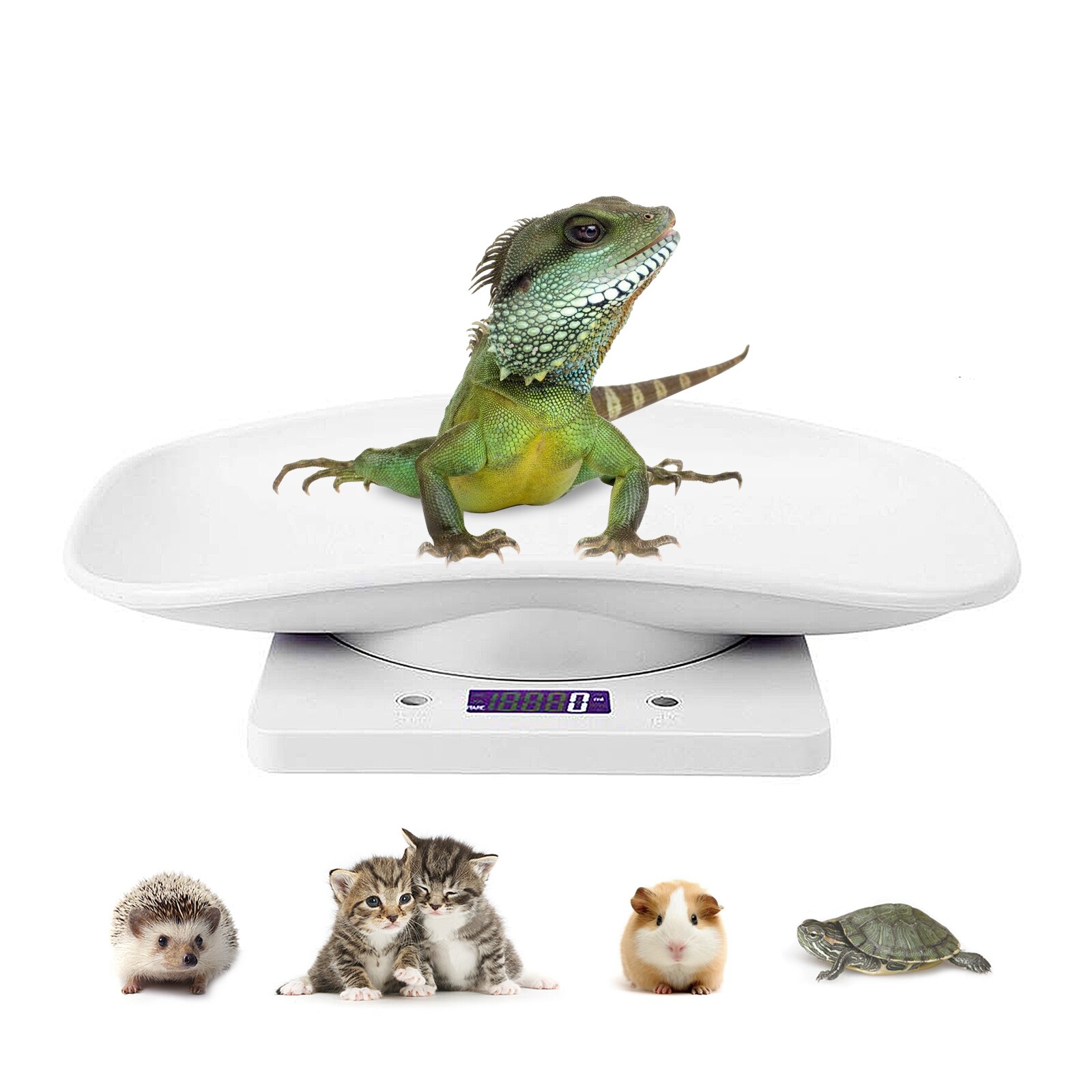 Digital Pet Scale LCD Electronic Weighing Scale Kitchen Food Scale Mini Precision Grams Weight Balance Scale