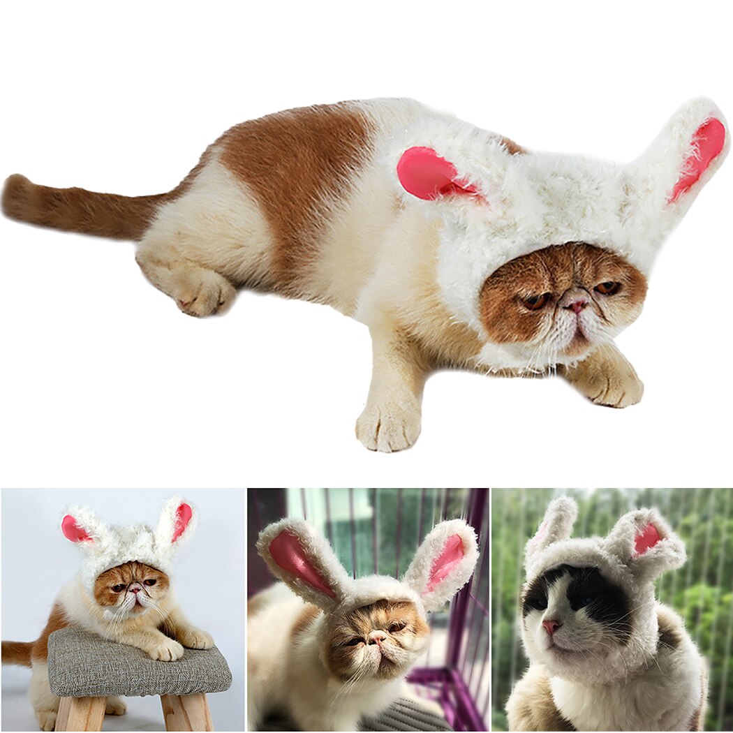 Peluca decorativa con Orejas de conejo peludas para mascotas, disfraz de gatito, adorno de conejo, novedad de