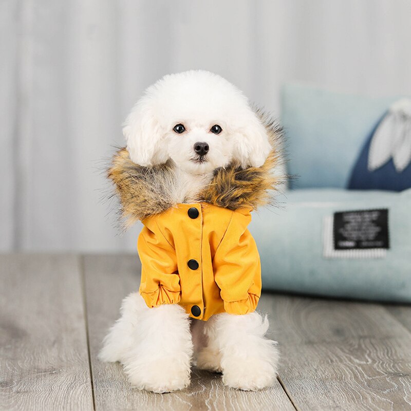 Haustier Kleidung Warme Unten Jacke Winddicht Hund Kleidung Parkas Winter Welpen Mantel Kleidung für Kleine Hunde Chihuahua Weihnachten: Gelb / XL