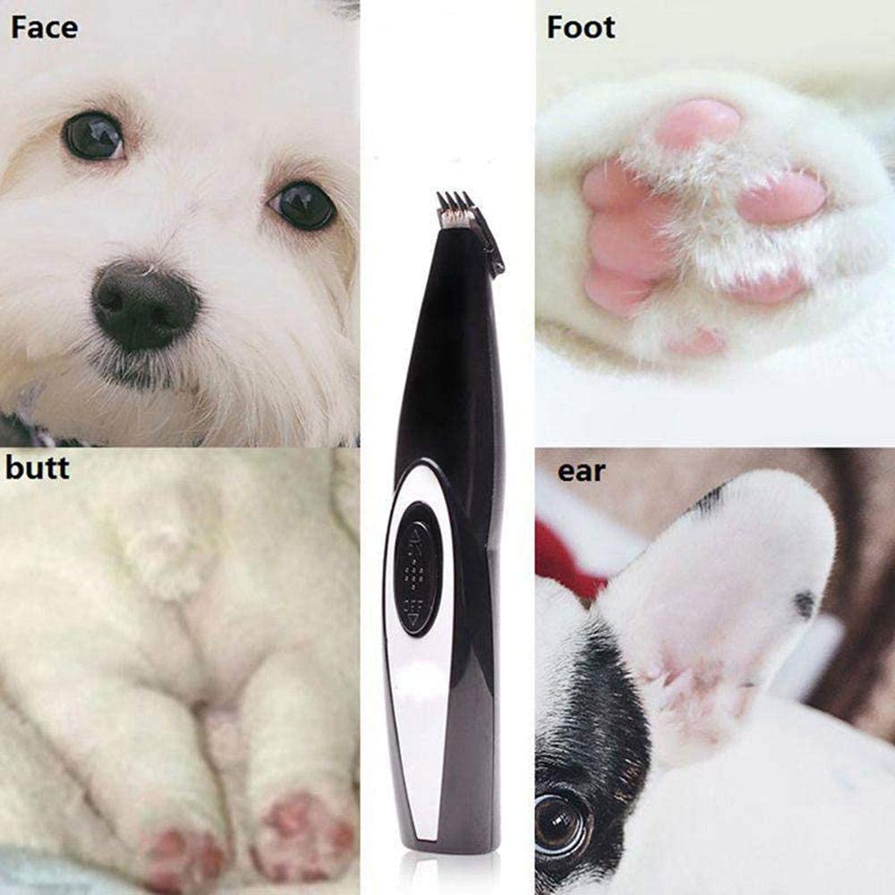 Electric pet hair trimmer USB rechargeable dog cordless small electric clipper