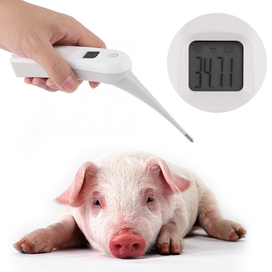 Digitale Thermometer Voor Honden Kat Varken Dieren Elektronische Thermometer Professionele Veterinaire Benodigdheden
