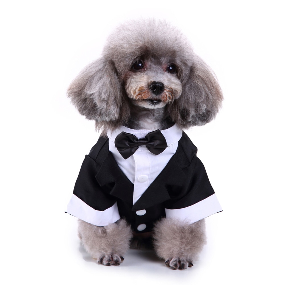 Estilo británico mascota perro boda Formal pajarita esmoquin traje chaqueta novio traje ropa