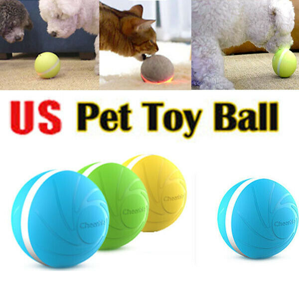 Juguetes para perros bola malvada mascota perro gato juguete RGB luces LED juguete interactivo compañero eléctrico