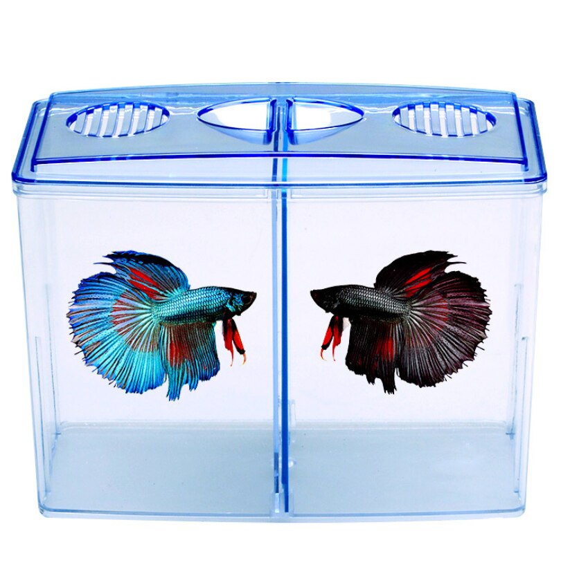 The fish box of the Shui clan, the fish fighting box, the double isolation, appreciation, hatching and reproduction fish box