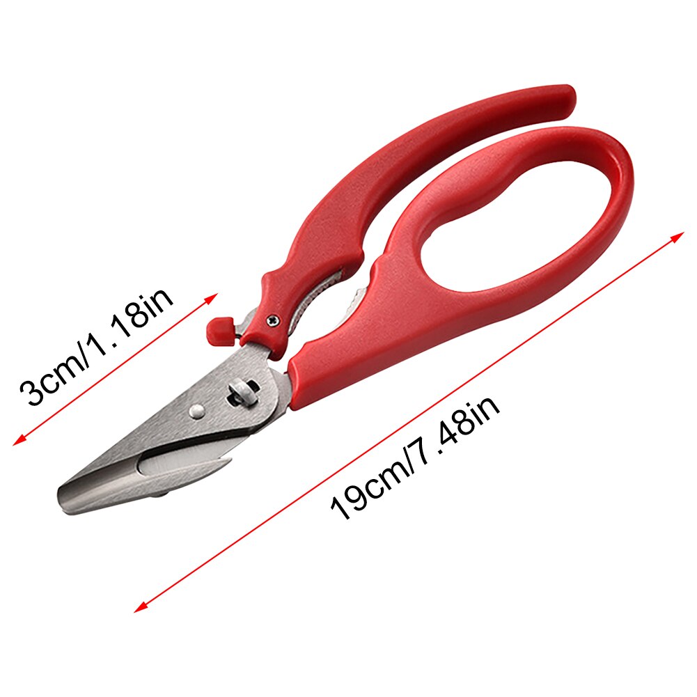 Pince Loon Rogue micro forceps format court