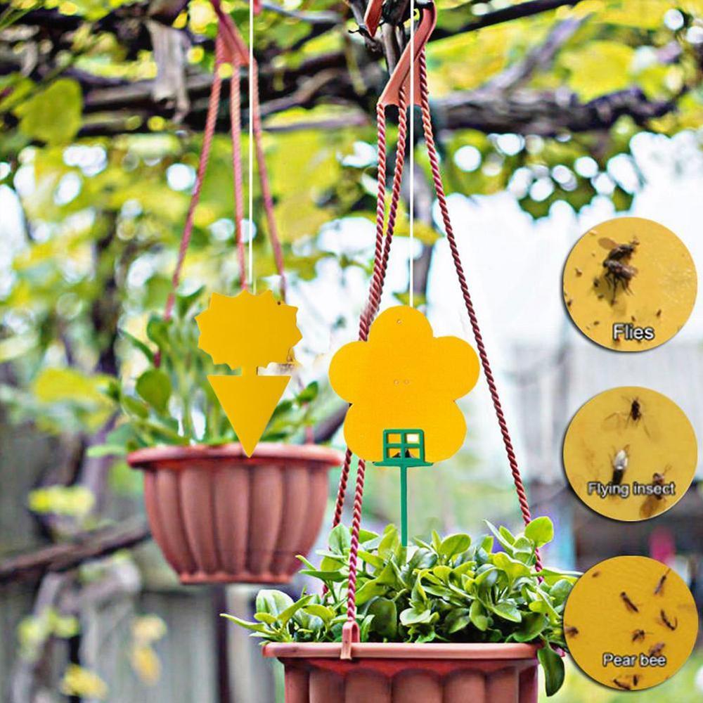 Collant insecte planche piège planche Double face jaune insecte planche bleu jardin imperméable planche en forme teinté fleur papillon