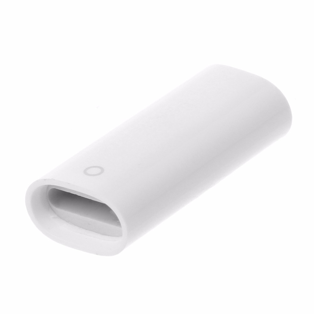 Blitz Ladung Buchse Konverter Adapter Für Apfel Bleistift iPad Profi