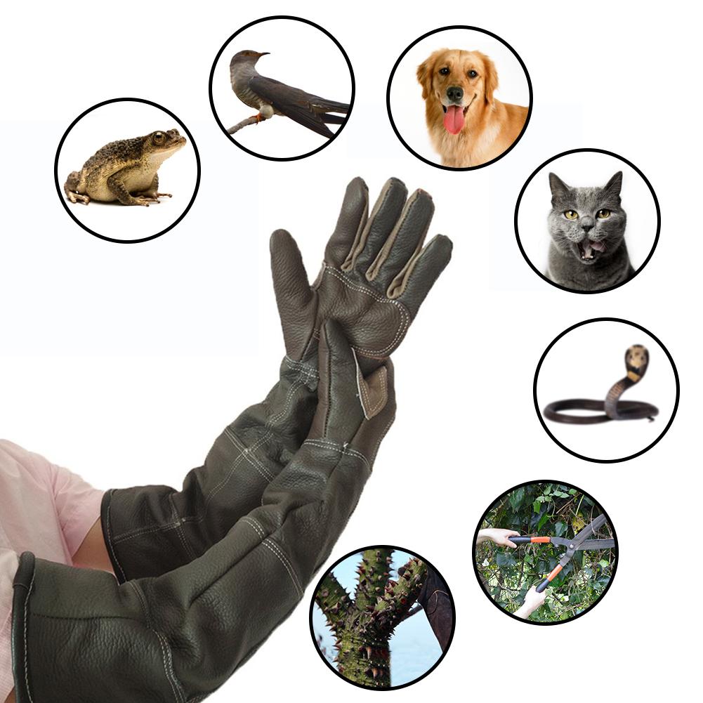 Neue Haustier Handschuhe Leder Anti-greifen Anti Biss Schutz Handschuhe Für Katze Hund Und Gartenarbeit Arbeit Handschuhe Haustiere Ausbildung fütterung