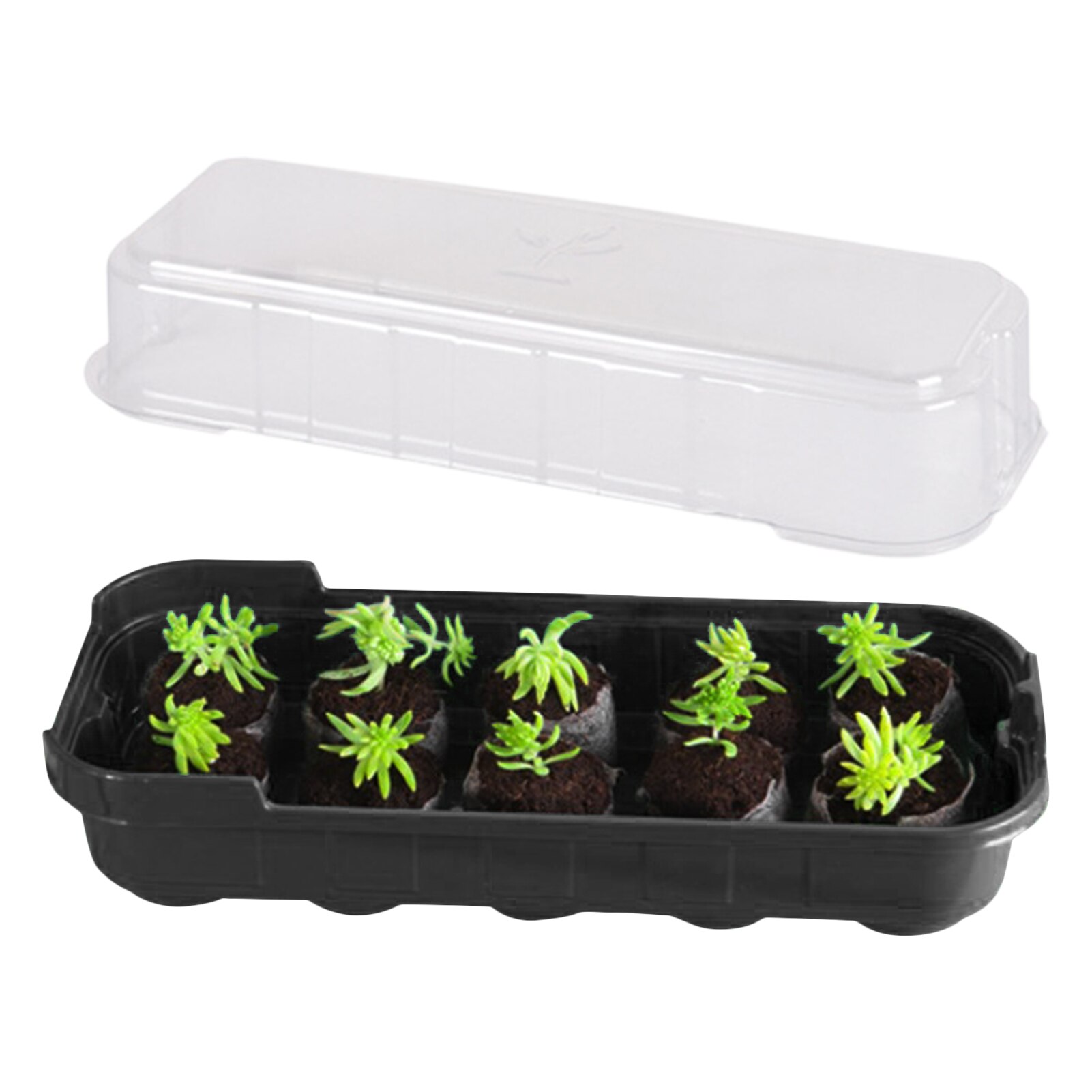 Plateau de démarrage de graines réutilisable 10 cellules, Mini plateau de démarrage de graines d&#39;intérieur en plastique avec rebord de fenêtre en dôme, Kits de serre pour graines: black