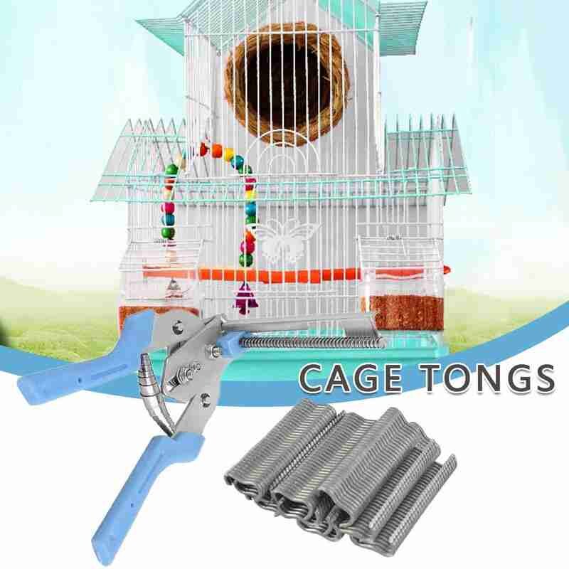 Bevestiging Klem Rvs 600 Stuks Nagels Dier Installatie Konijn Kwartel Vogels Kooien Gekooide Klem Bevestiging Schroef Poult Y7B6