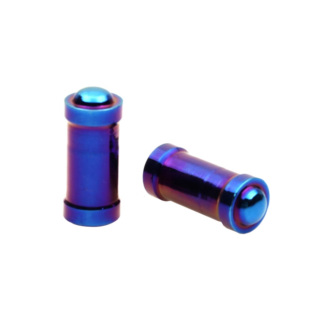 2PCs Durable Aluminum Alloy Motorcycle Valve Cap Dust Cover Wheel Tire Rim Valve Rod Cap Replacement: 010